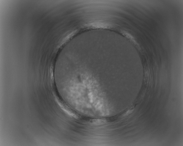 X0000080730398200701121916