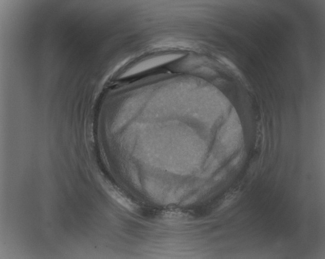 X0000080730399200701121916