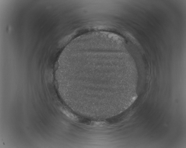 X0000080730401200701121916