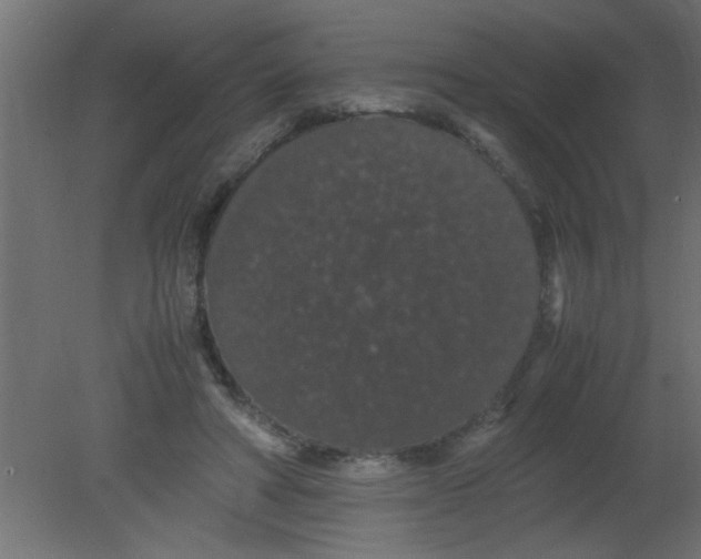 X0000080730402200701121916