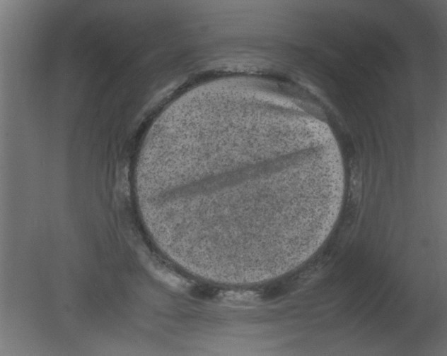 X0000080730403200701121916