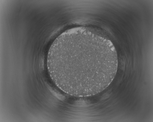 X0000080730404200701121916