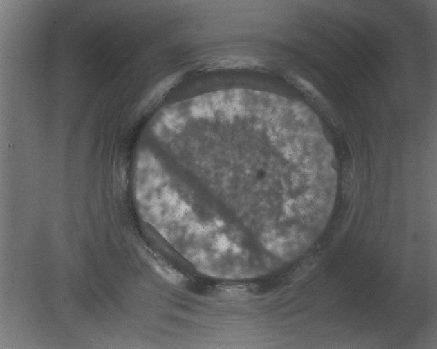 X0000080730405200701121916