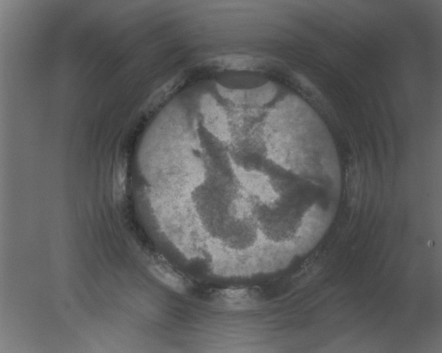 X0000080730406200701121916