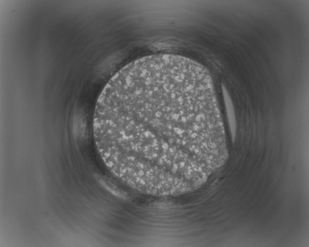 X0000080730408200701121916