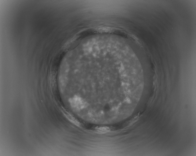 X0000080730409200701121916