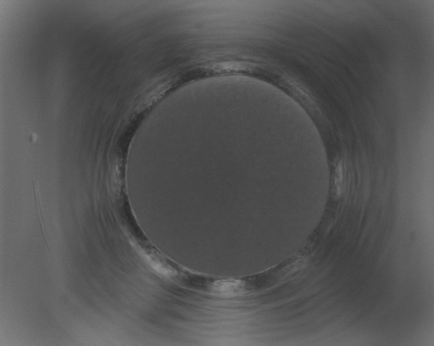 X0000080730410200701121916