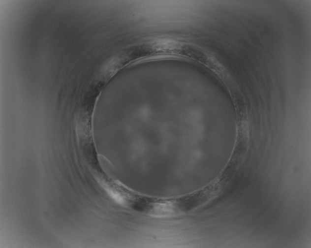 X0000080730411200701121916