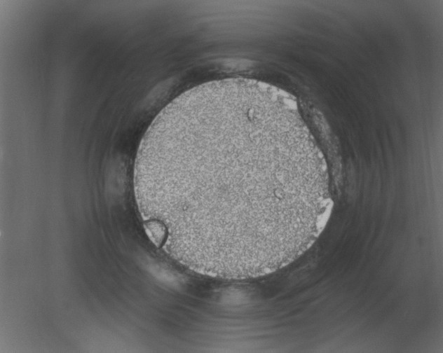 X0000080730412200701121916