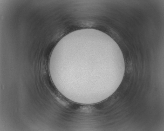 X0000080730414200701121915