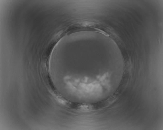 X0000080730415200701121915