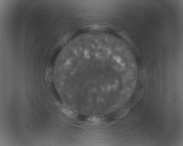 X0000080730419200701121915