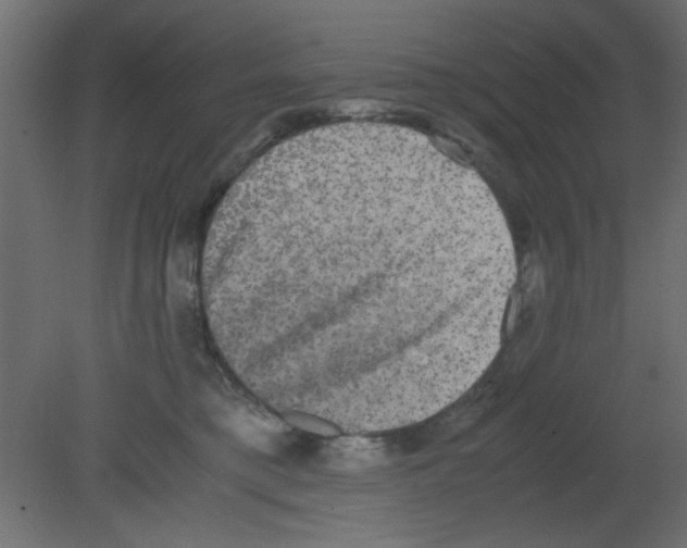 X0000080730421200701121915