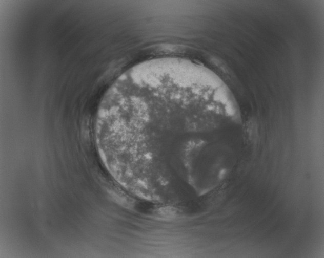 X0000080730423200701121915