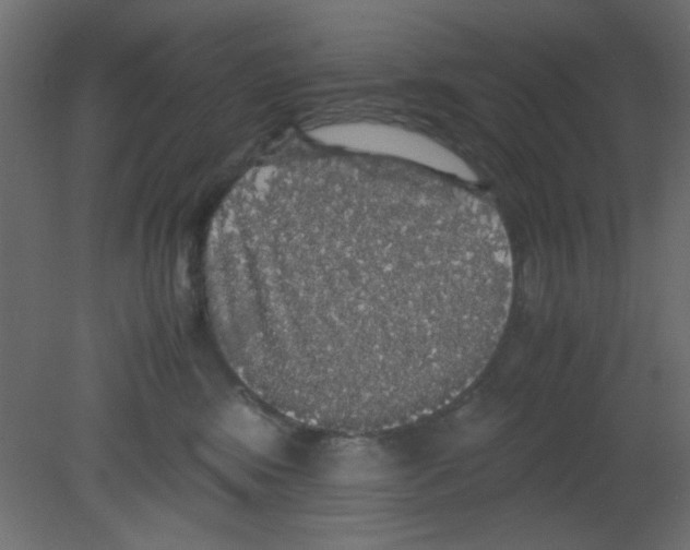 X0000080730424200701121915