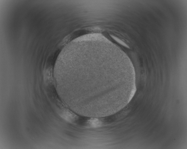 X0000080730425200701121915