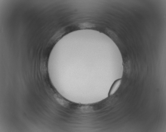 X0000080730426200701121915