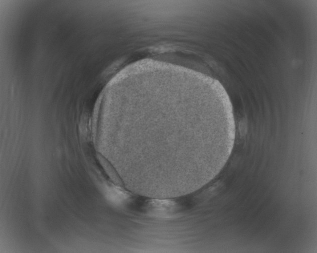 X0000080730429200701121915