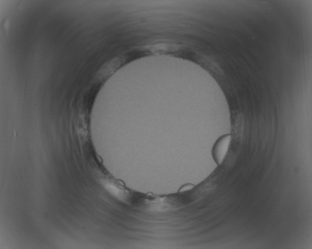 X0000080730430200701121915