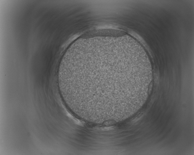 X0000080730433200701121914