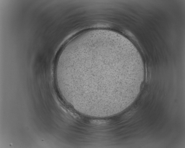 X0000080730435200701121914