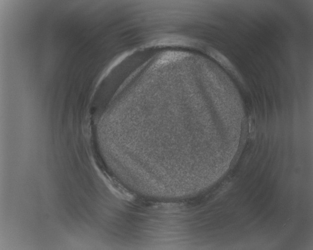 X0000080730436200701121914