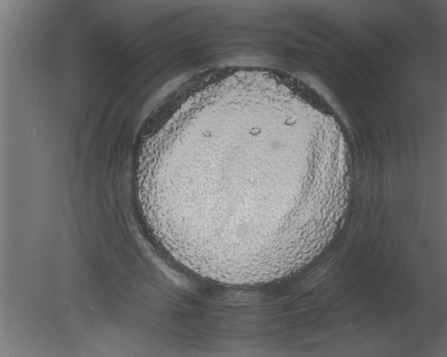 X0000080730437200701121914