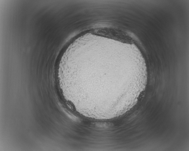 X0000080730439200701121914