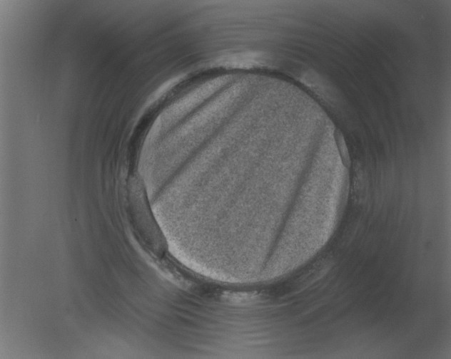 X0000080730440200701121914