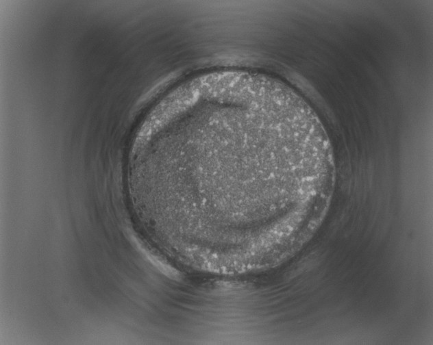 X0000080730442200701121915