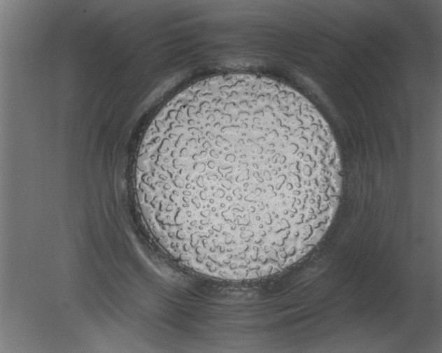 X0000080730443200701121915