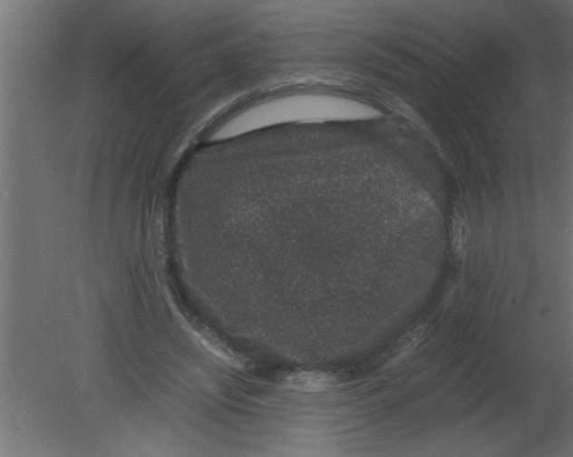 X0000080730444200701121915