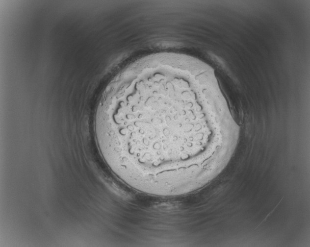 X0000080730447200701121915