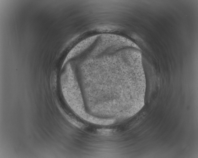 X0000080730448200701121915