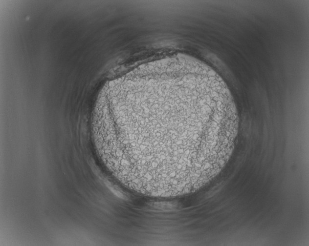 X0000080730449200701121915