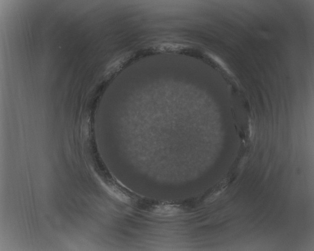 X0000080730451200701121915