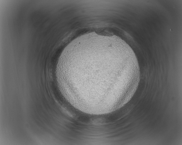 X0000080730452200701121915