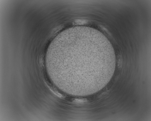 X0000080730455200701121915