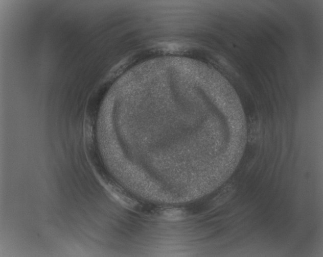 X0000080730456200701121915