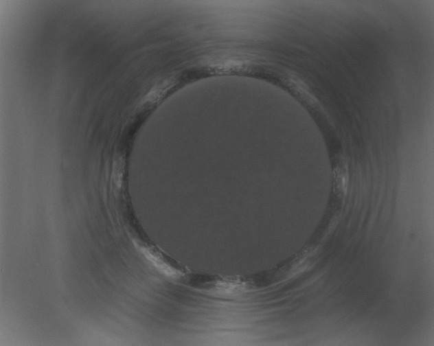 X0000080730458200701121915