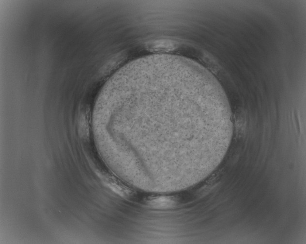 X0000080730460200701121915