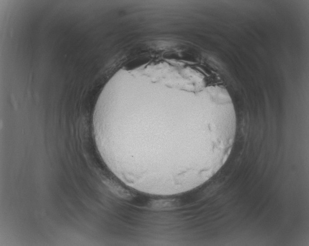 X0000080730461200701121915