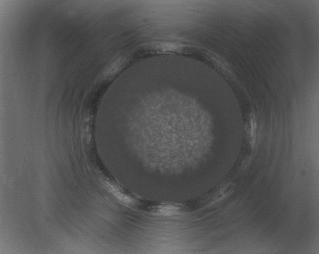 X0000080730462200701121915