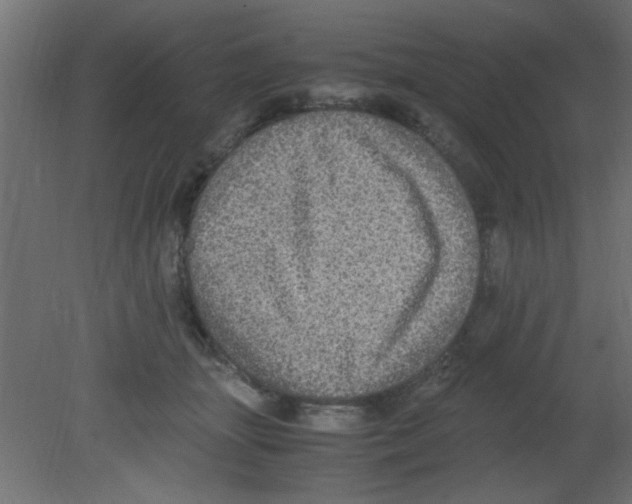 X0000080730463200701121915