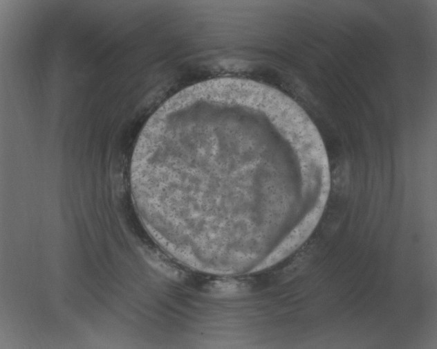 X0000080730464200701121915