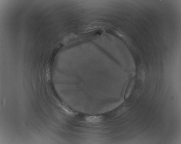 X0000080730465200701121915