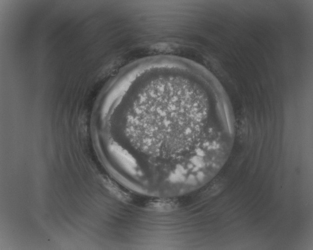 X0000080730466200701121915