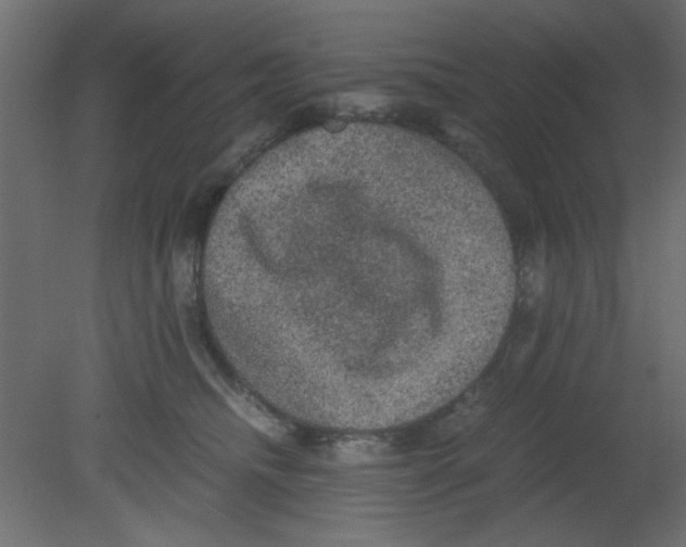 X0000080730468200701121915