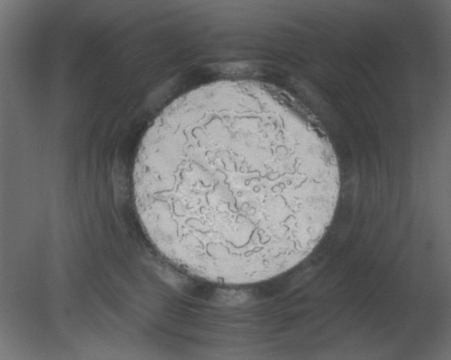 X0000080730469200701121915