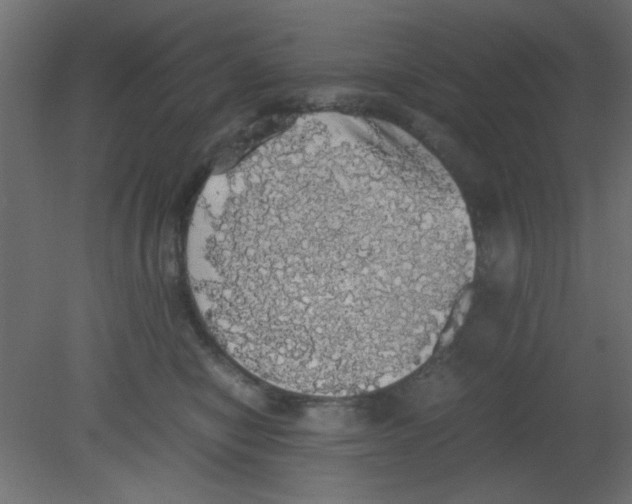 X0000080730470200701121915